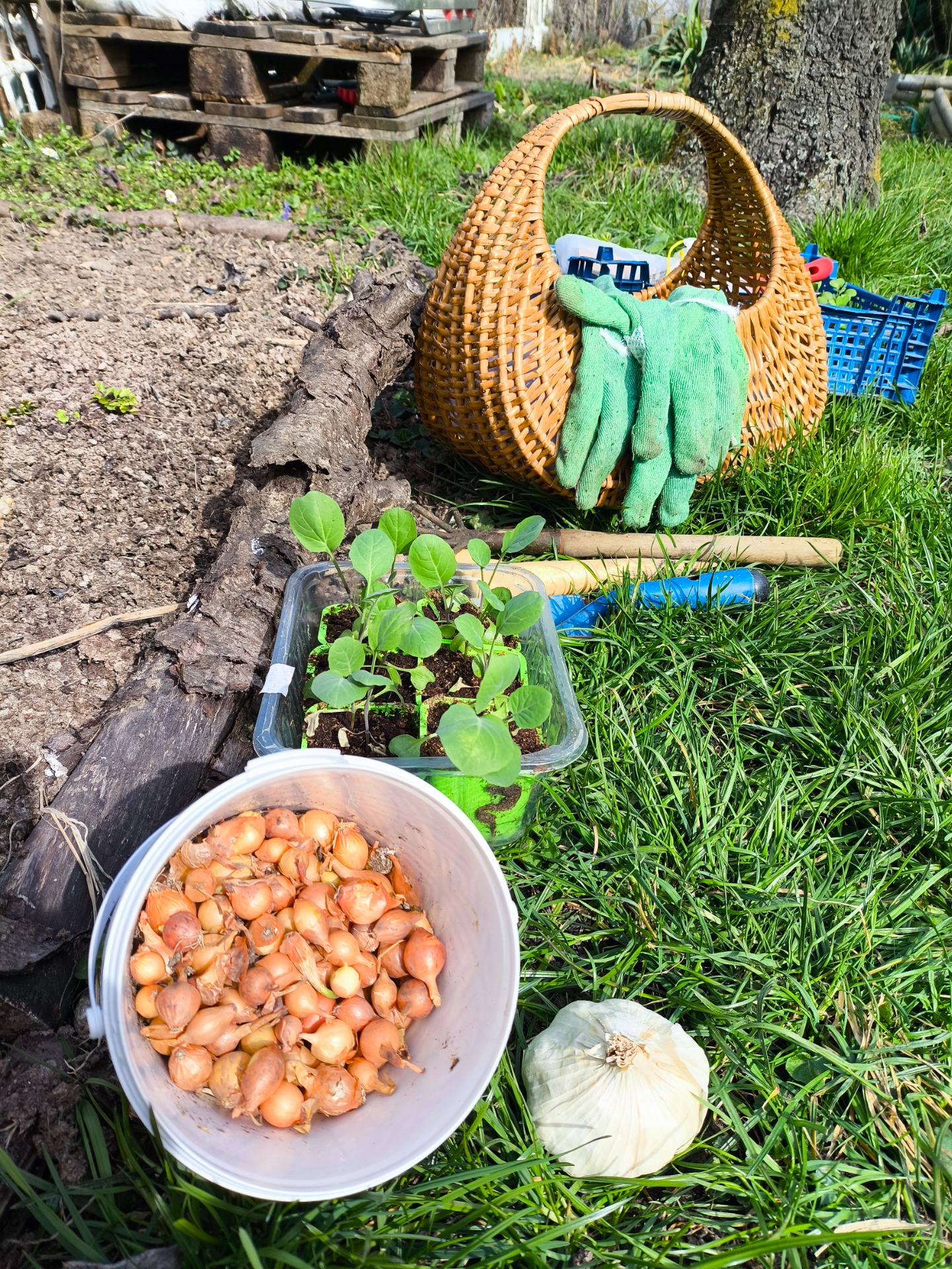 Vždy se těším na jaro a na nový začátek, protože už vím, že na funkční zahradu se mohu spolehnout.
